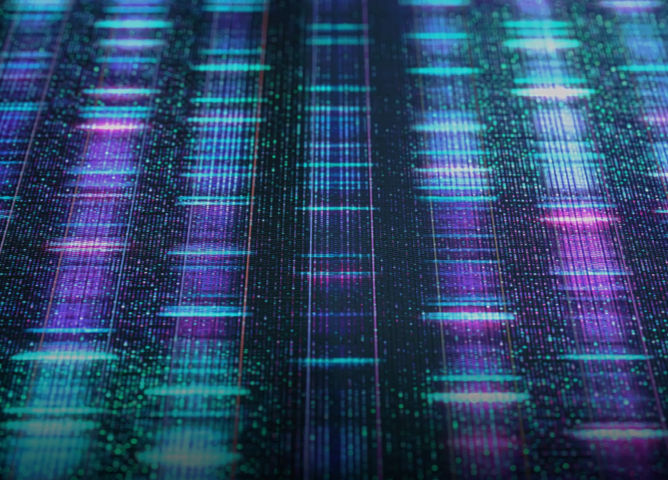 Genetic sequencing image